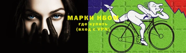 ешки Аркадак