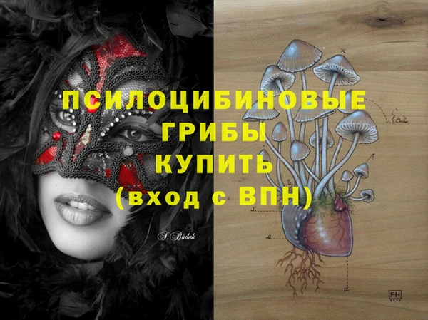 ешки Аркадак