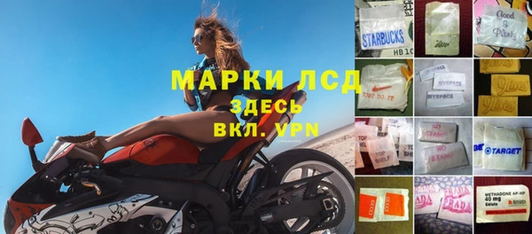 ешки Аркадак